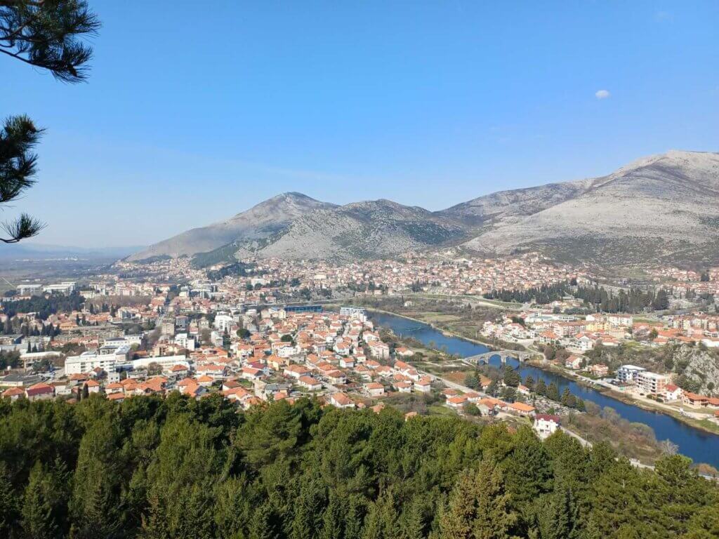 viber_image_2026-03-14_00-54-15-118