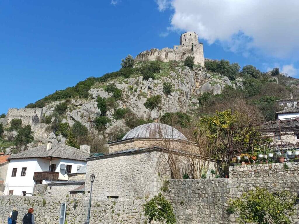 viber_image_2026-03-14_15-59-11-862