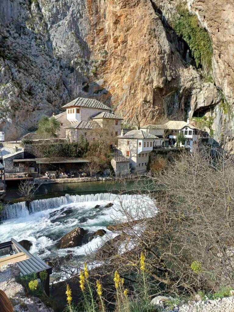 viber_image_2026-03-14_16-05-45-350